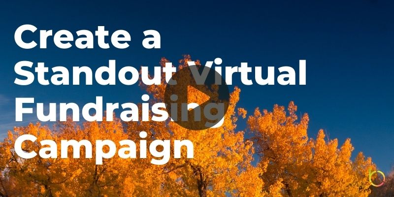Virtual Fundraising Campaign Play