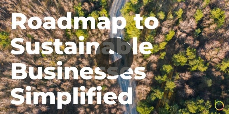 Roadmap to Sustainable Businesses Simplified