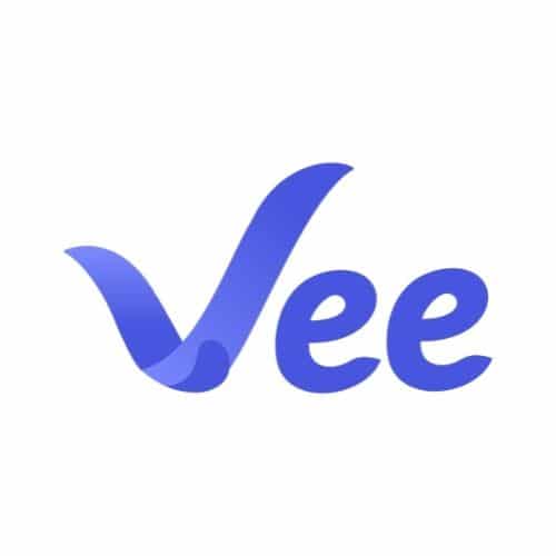 Vee-Logo Nonprofit Mini Summit Partner